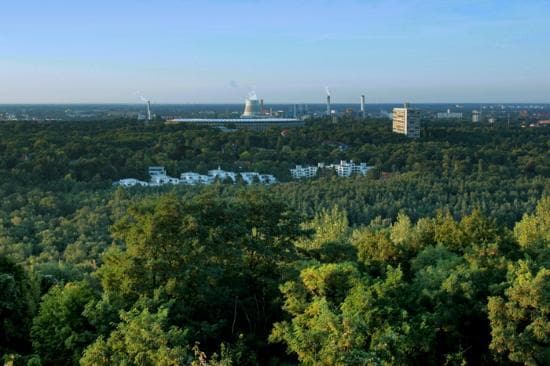 half of the city of berlin is grunewald forest