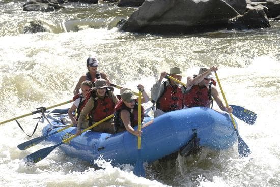 Paddle!