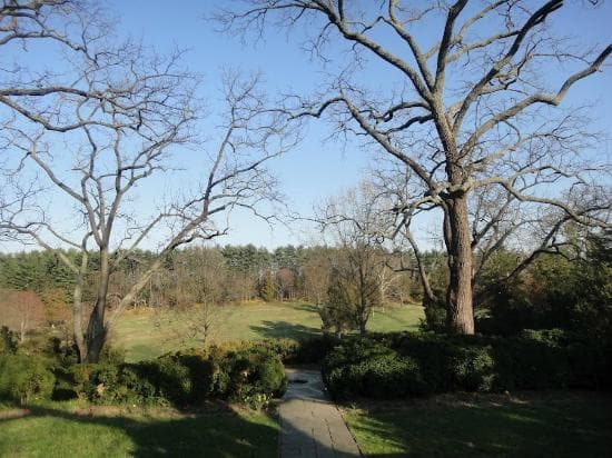 Rockville Civic Center Park
