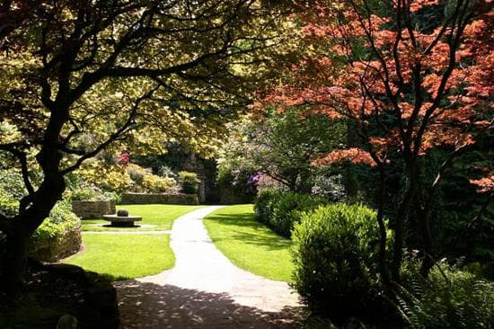 Acers