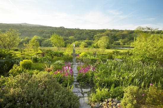 View out over the Bog Garden. Photo - Clare Takacs