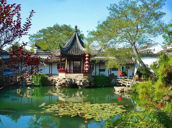 Master-of-Nets Garden
