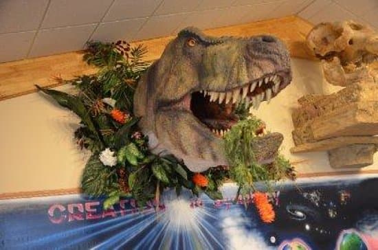 creation evidence museum