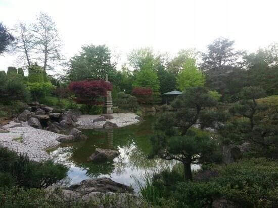 german-japanese style