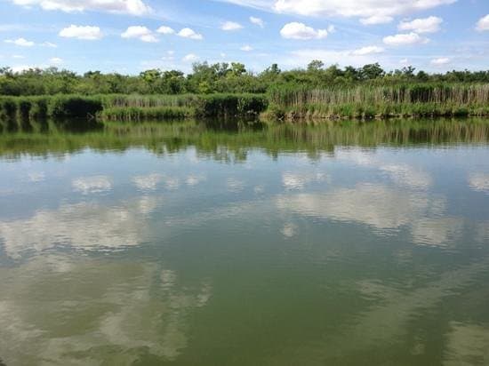 Ranworth Broad