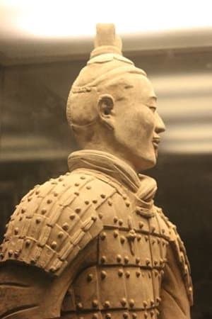 Handsome Terracotta Warrior