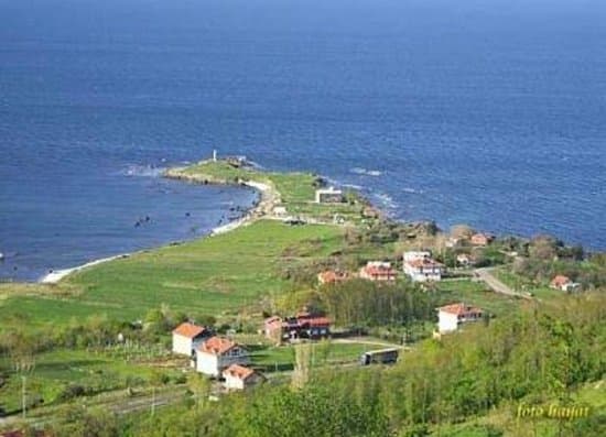 Yason burnu