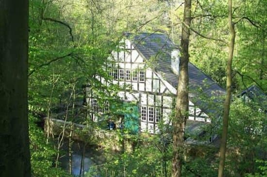 Halbachhammer im Wald