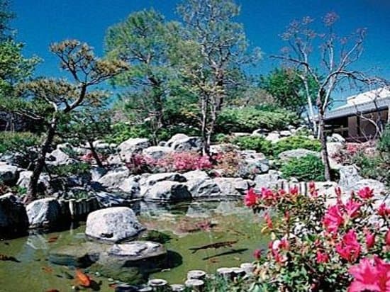 Pine Wind Japanese Garden