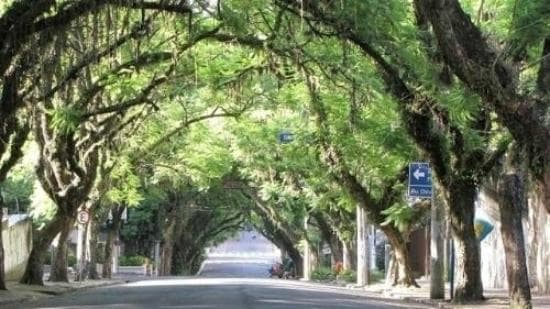 Vista da rua