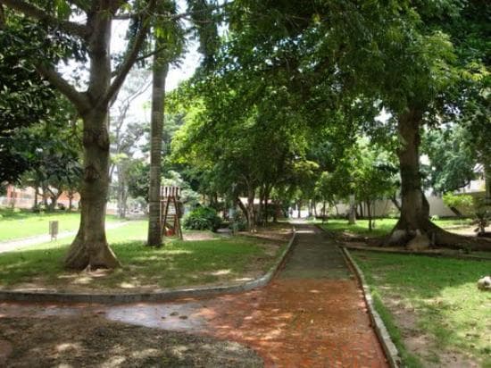 parque rosado
