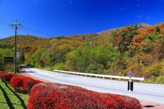 getlstd_property_photo