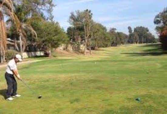 Dundas Reservoir and Woods