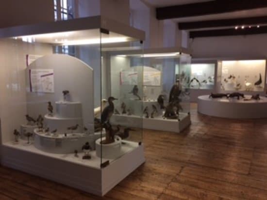 Salle des sciences naturelles