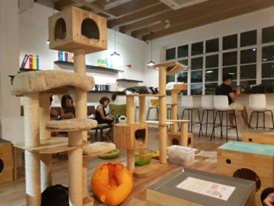 Suasana dalam kafe sekitar pukul 8 malam.