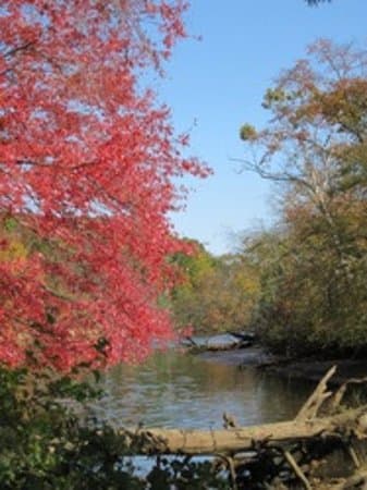 View of the Rancocas Creek, Autumn