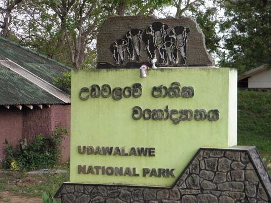 Udawalawe National Park Gate