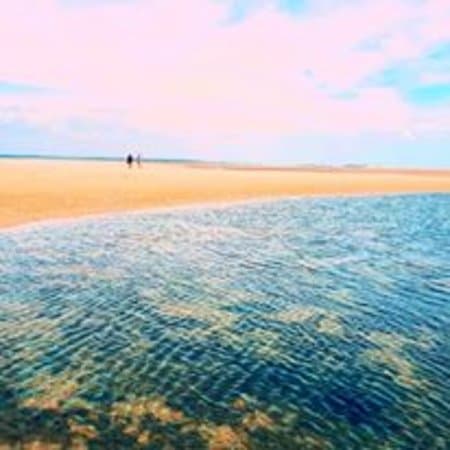 as lagoas-mangues formadas na areia