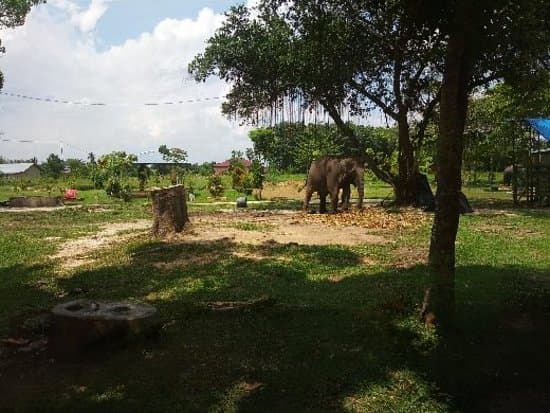 Kebun binatang kasang kulim pekanbaru
