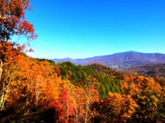 Scenic vista