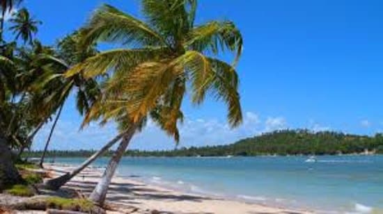 Venham Pessoal Conhecer a praia dos Carneiros 
 Localizada na cidade de Tamandaré PE ,.
 
 
 Passeios de Barco ou Lanchar é comigo viu  ,. tem muitas Promoção ,
 Tem diverso Preços muito Atraente  ,. Barato é muito bom  ,. 
  pra quem estiver interressado em meu Passeios vcs vão Gosta 
 Sempre deixou meus clientes muito Avontade ,.
 Contator : 81984319629 
 Email : adrianoret@outlook.com