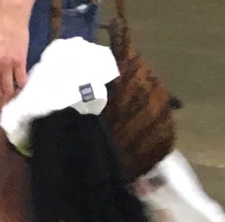 Majed J. Nesheiwat Convention Center