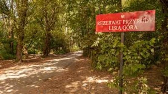 rezerwat przyrody lisia góra
