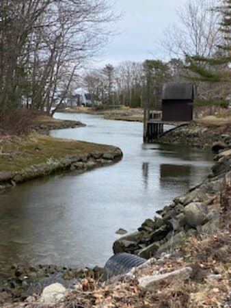 Cape Paddy near the 1812 Cemetery.