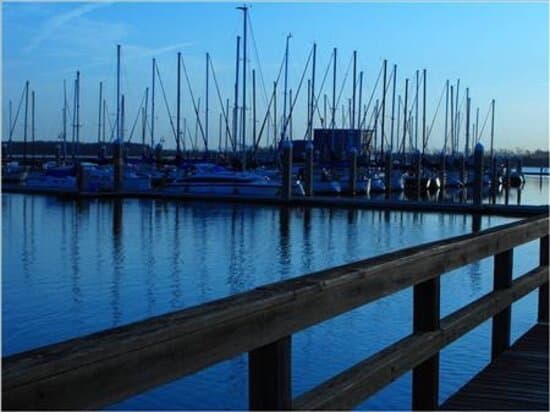 Cooper River Marina