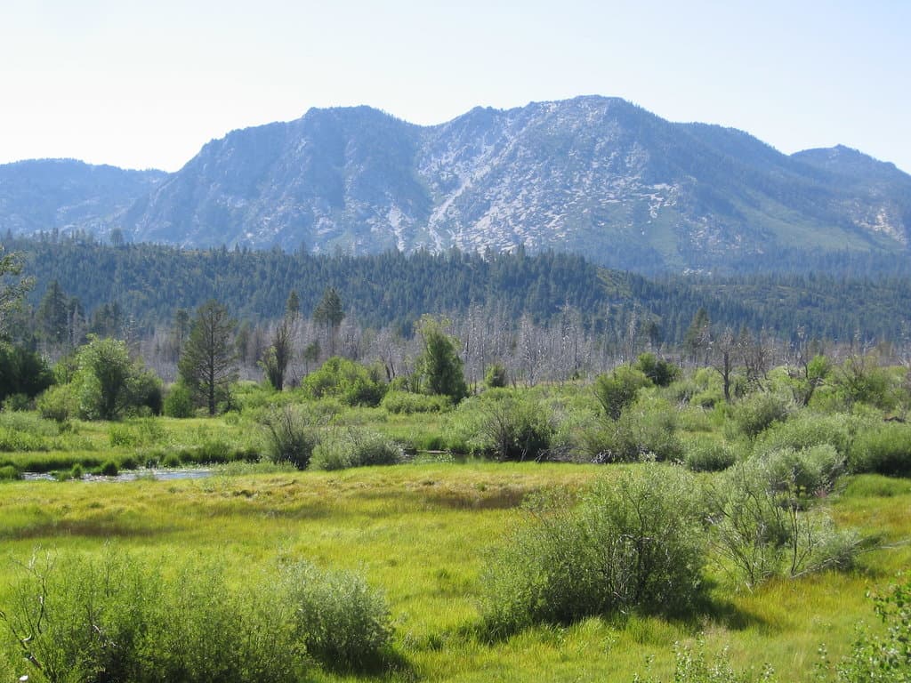 View from the path