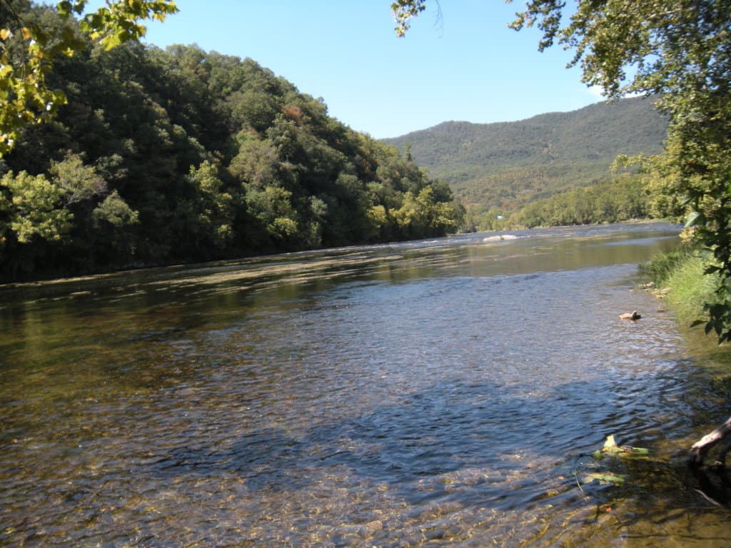 the river