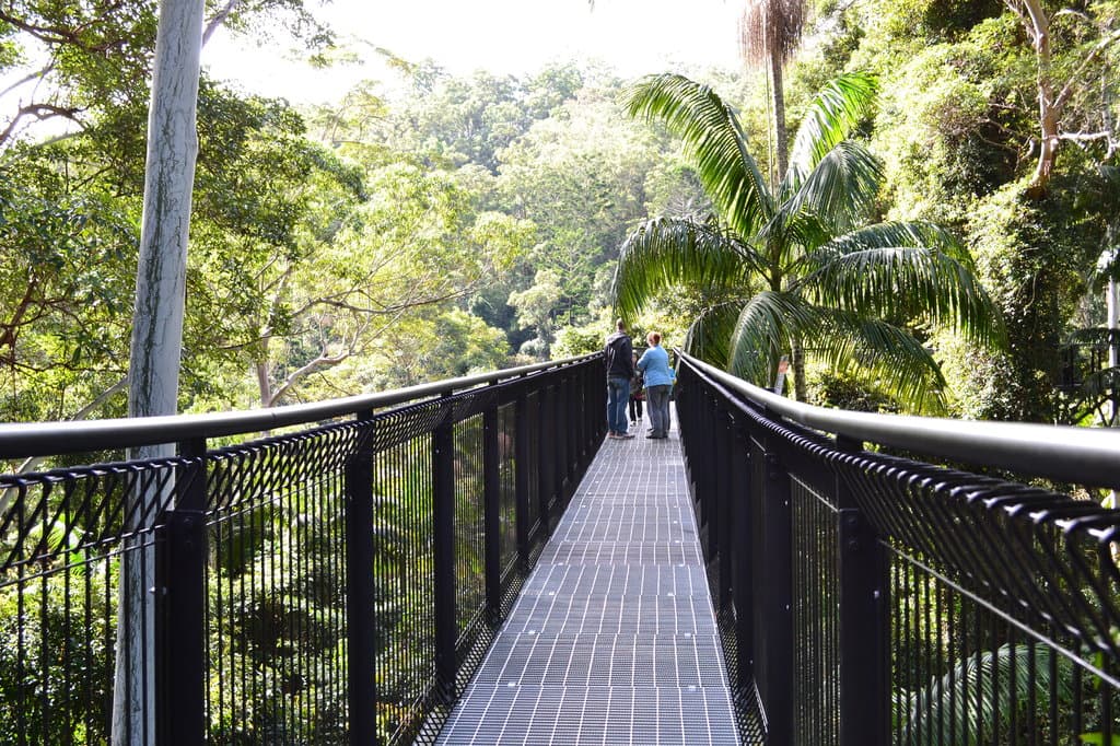 first sky walk