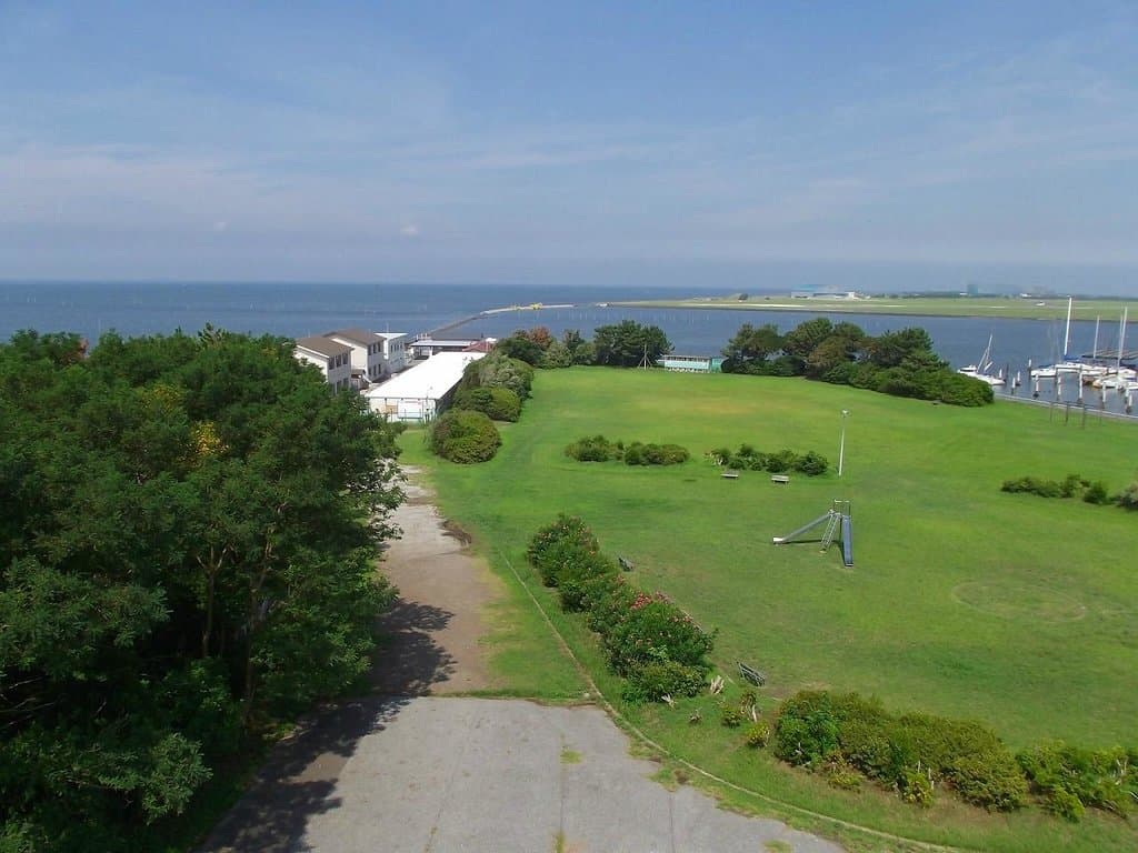橋上からの公園風景