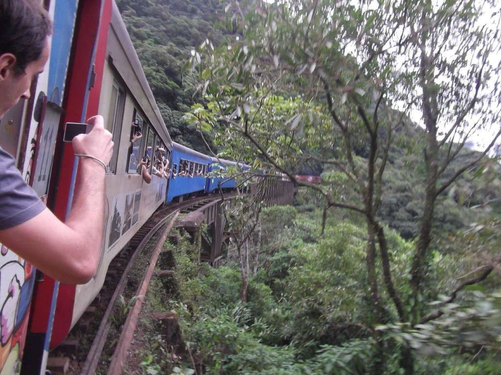 O trem sumindo na mata
