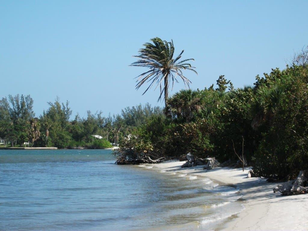 Beach at the Nature Center