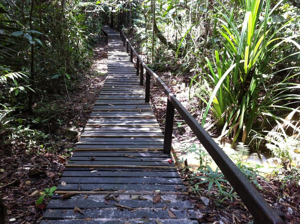 A board walk