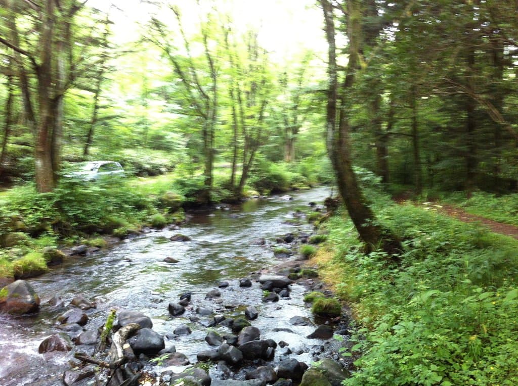 川もありました！