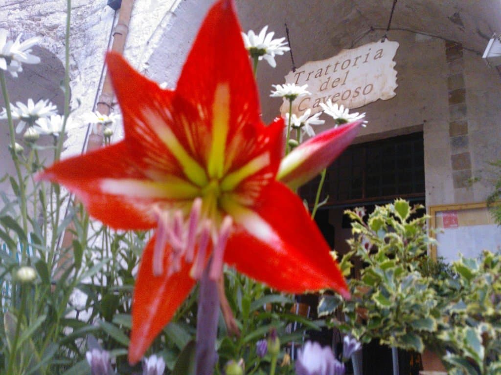 UN GRAZIE DI CUORE A TUTTI I NOSTRI  GENEROSI RECENSORI!!!