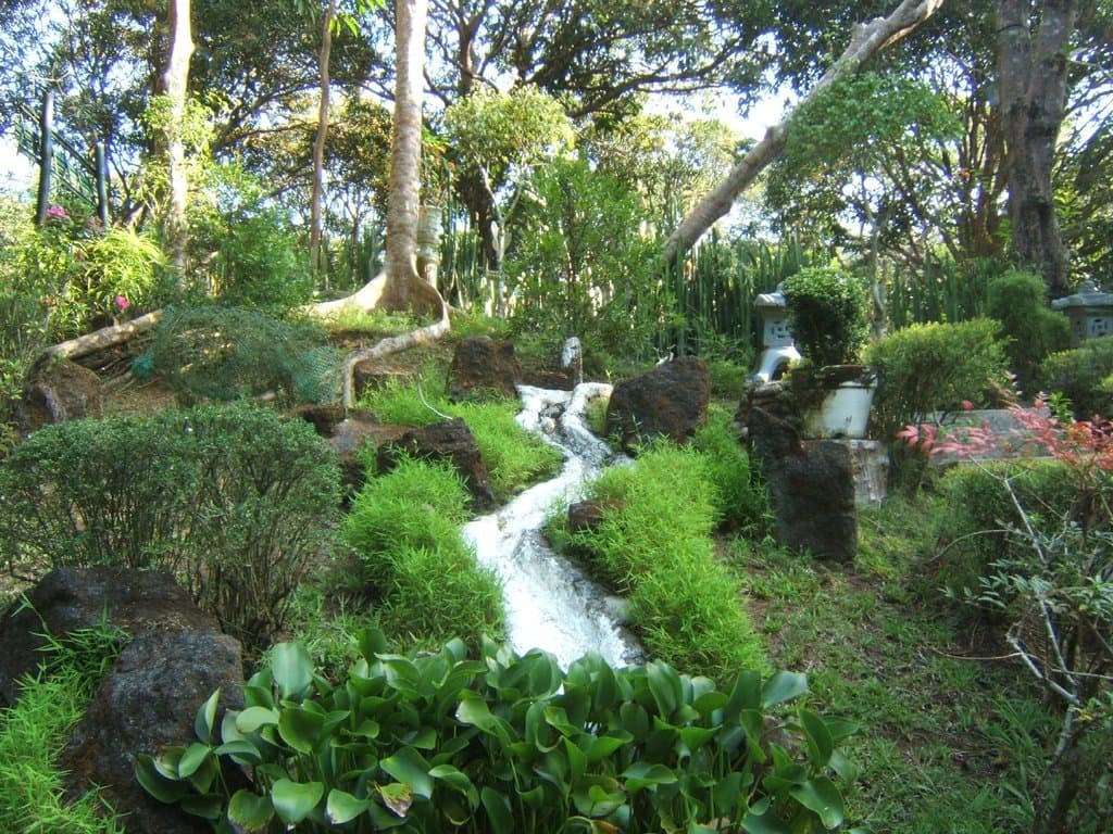 Japanese garden