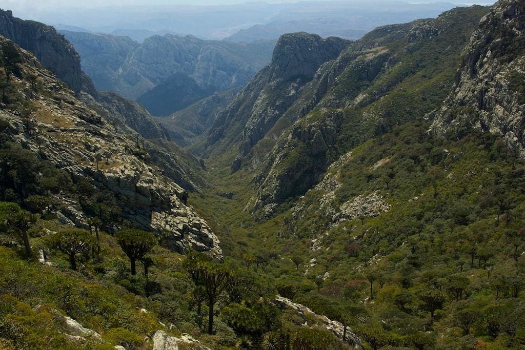 Socotra Island: Skand Peak