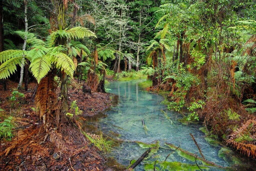 Lovely stream