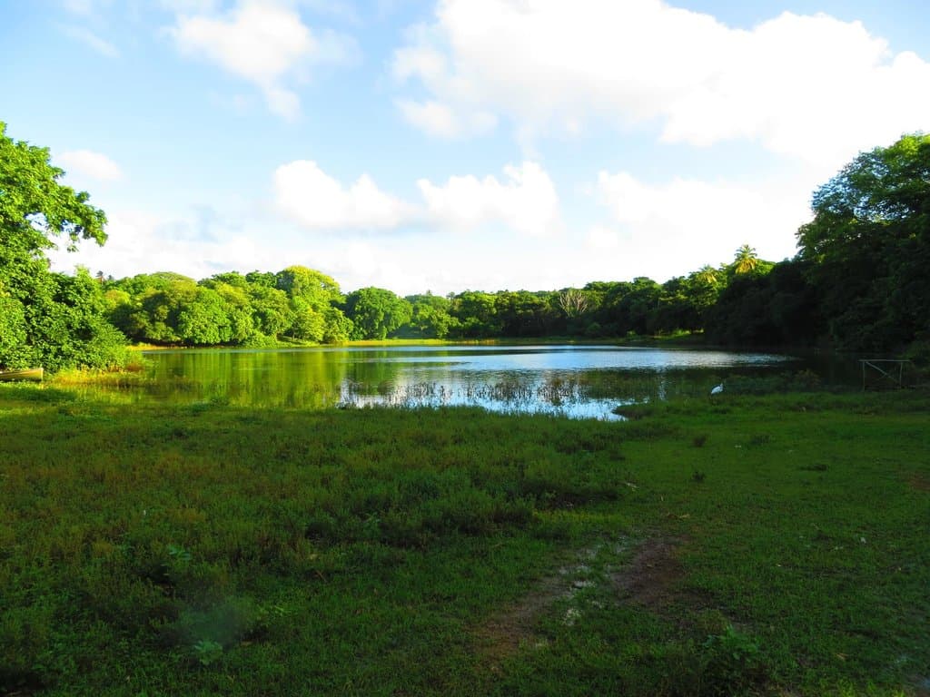 lagoon
