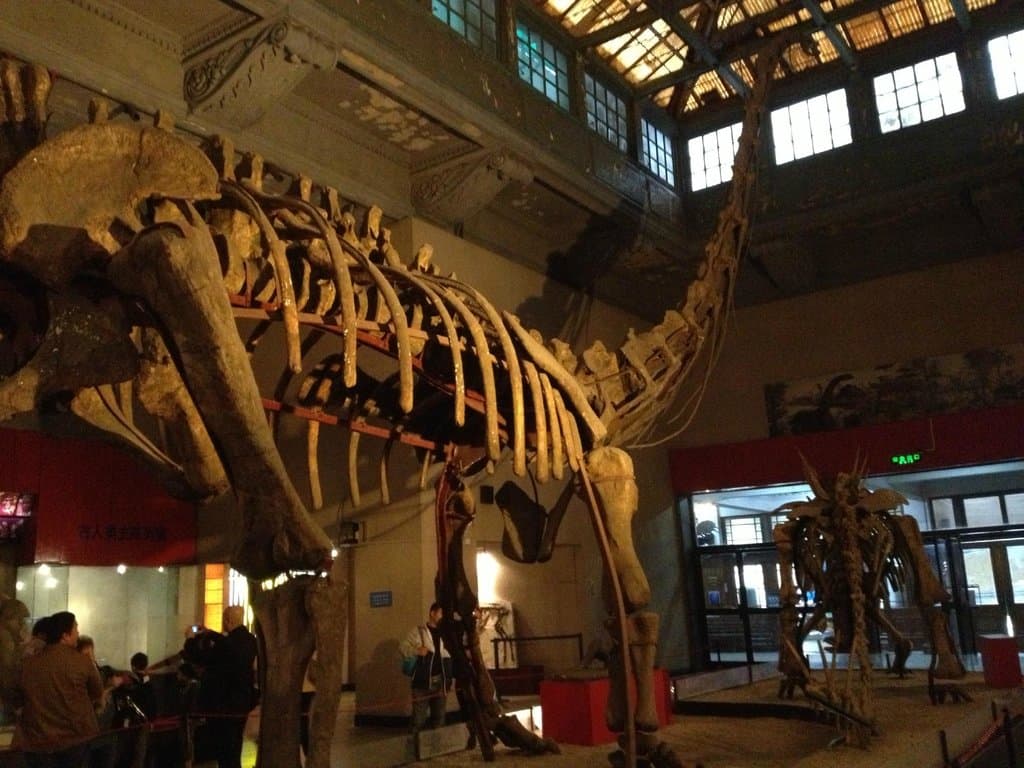 Dinosaurs