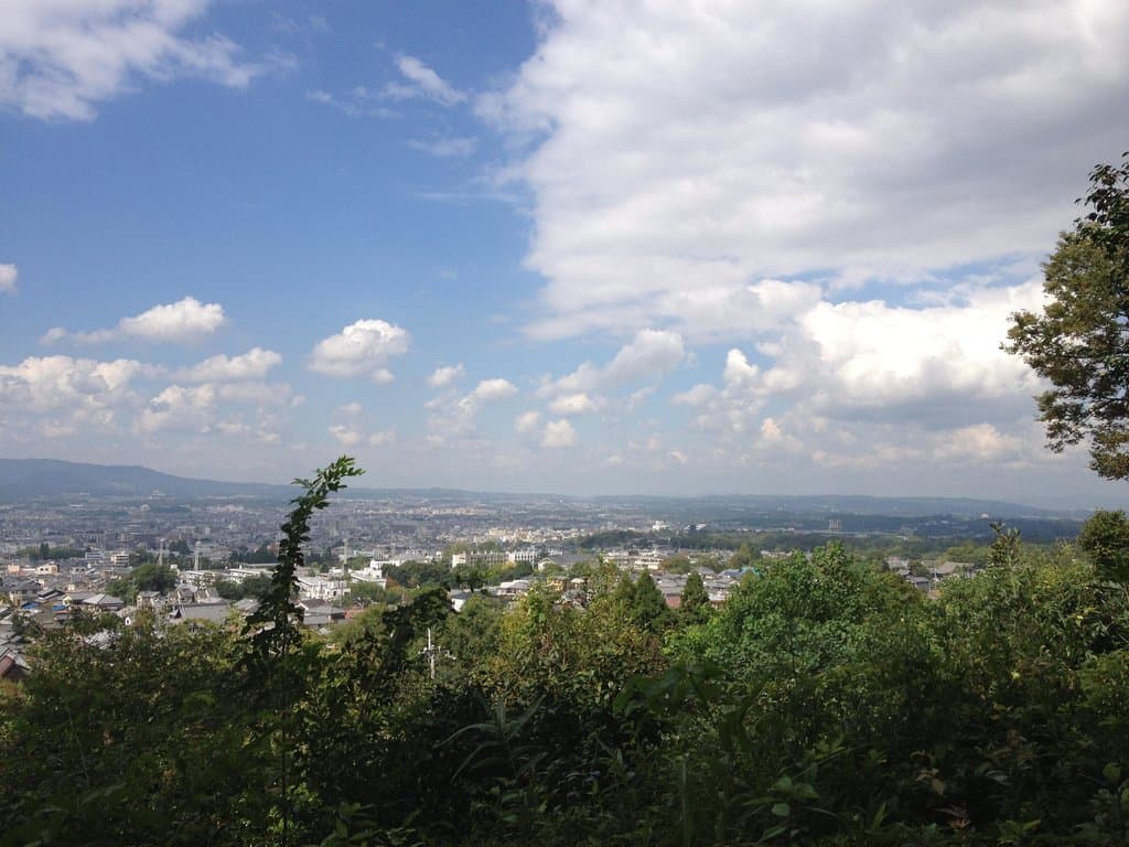 境内からの眺め