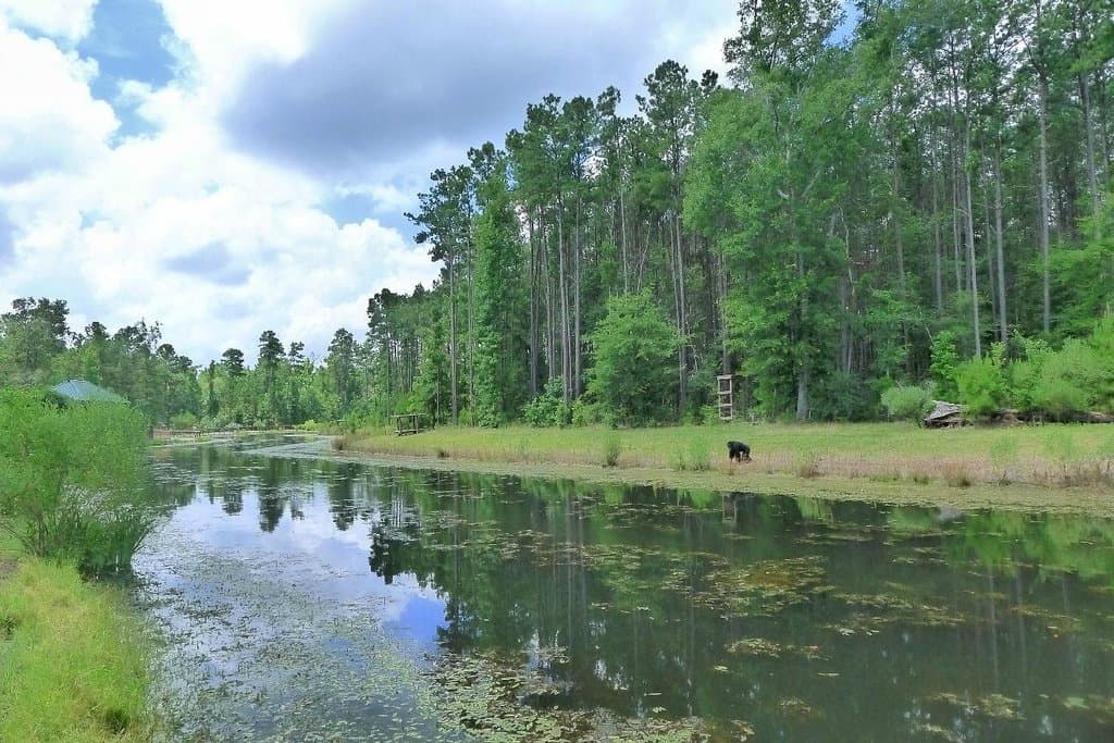 following across the water