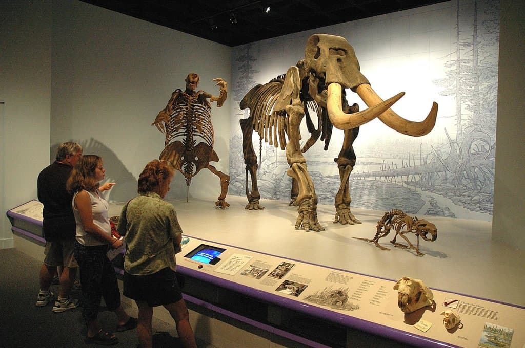 Illinois State Museum