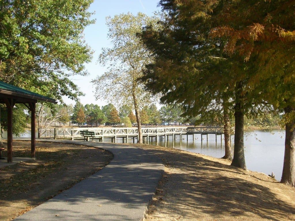 Fishing pier at DeWitt City Park