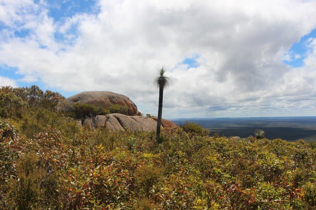 view from Mount Lindsay