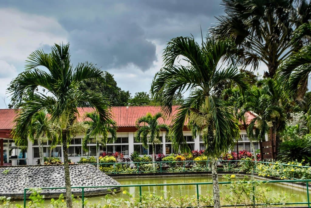 The main building