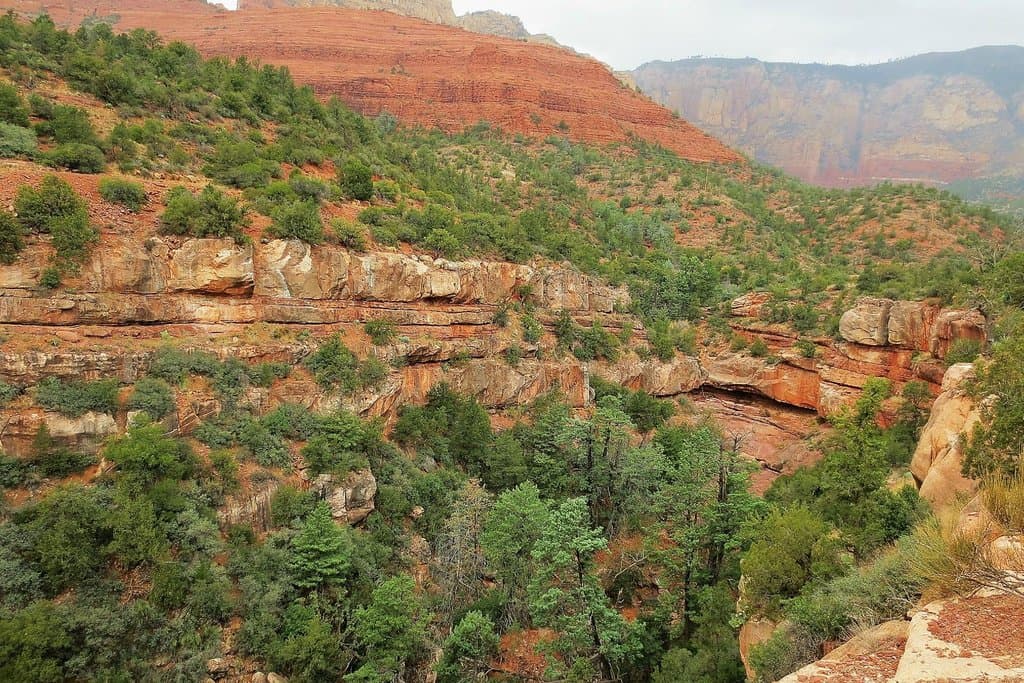 View from trail at top